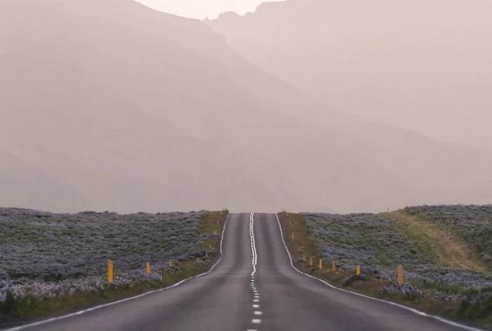 Hit the Road: Memorable Road Trips from Lawrenceburg, TN